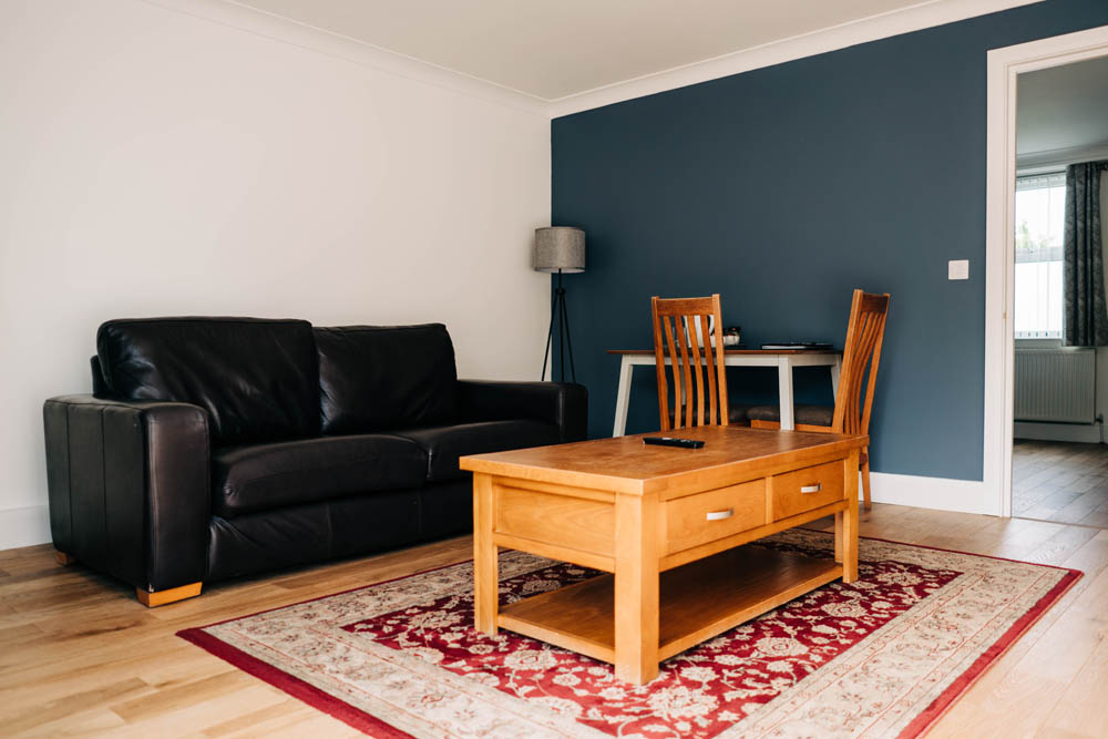 Bryn Berwyn Ground Floor Suite -  living room 1